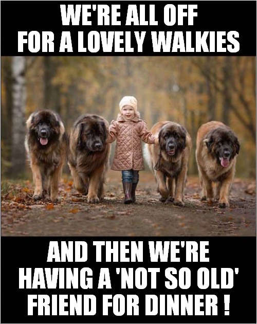 This Could End Badly For Someone ! | WE'RE ALL OFF FOR A LOVELY WALKIES; AND THEN WE'RE HAVING A 'NOT SO OLD' FRIEND FOR DINNER ! | image tagged in dogs,friends,death,dark humour | made w/ Imgflip meme maker