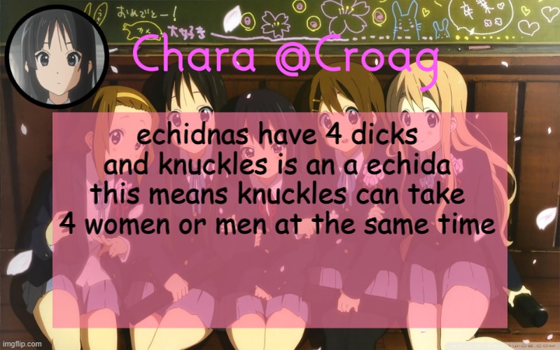 Chara's K-on temp | echidnas have 4 dicks and knuckles is an a echida this means knuckles can take 4 women or men at the same time | image tagged in chara's k-on temp | made w/ Imgflip meme maker