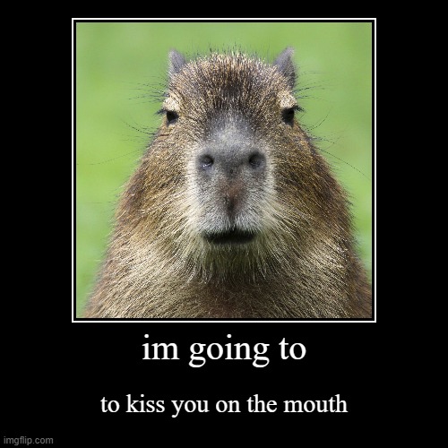 image tagged in funny,demotivationals | made w/ Imgflip demotivational maker