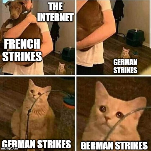 I mean, 2.3 million strikers in the public sector, and then also the railway strike | THE INTERNET; FRENCH STRIKES; GERMAN STRIKES; GERMAN STRIKES; GERMAN STRIKES | image tagged in sad cat holding dog | made w/ Imgflip meme maker