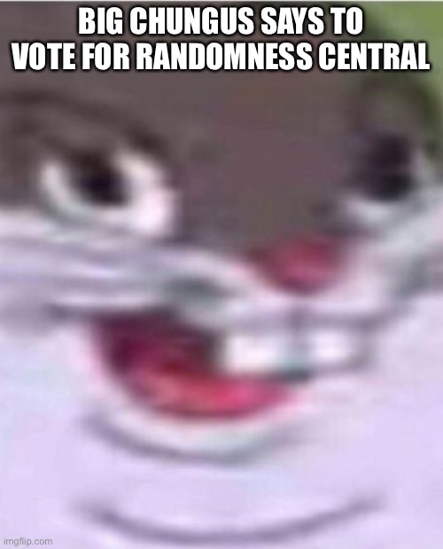 Big Chungus | BIG CHUNGUS SAYS TO VOTE FOR RANDOMNESS CENTRAL | image tagged in big chungus | made w/ Imgflip meme maker