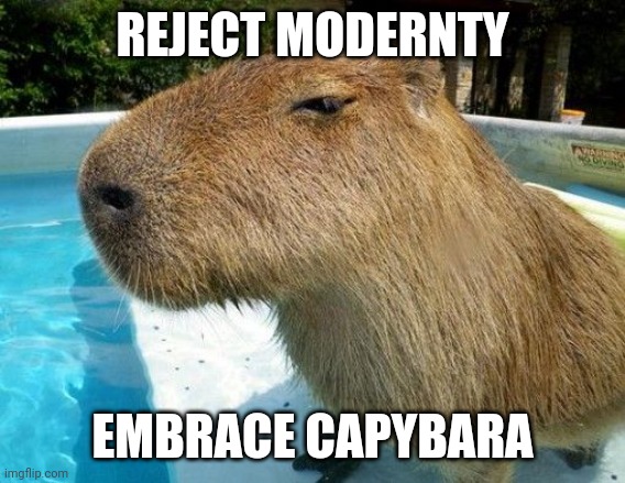 Capybara memes have my 100% support. They're so cute. | REJECT MODERNTY; EMBRACE CAPYBARA | image tagged in side eye capybara | made w/ Imgflip meme maker