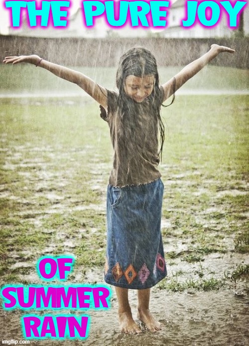 Do You Remember... or are you still this unfettered by life? | THE PURE JOY; OF
SUMMER
RAIN | image tagged in vince vance,summer time,dancing in the rain,rainy day,memes,childhood | made w/ Imgflip meme maker