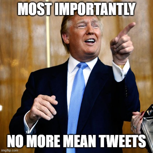 Donal Trump Birthday | MOST IMPORTANTLY NO MORE MEAN TWEETS | image tagged in donal trump birthday | made w/ Imgflip meme maker