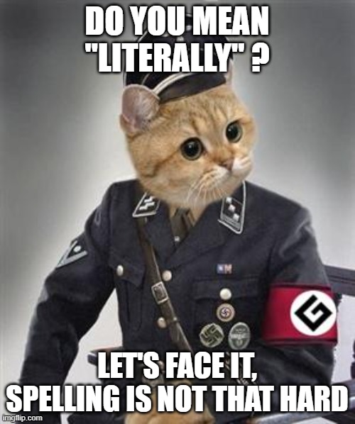 Grammar Nazi Cat | DO YOU MEAN "LITERALLY" ? LET'S FACE IT, SPELLING IS NOT THAT HARD | image tagged in grammar nazi cat | made w/ Imgflip meme maker