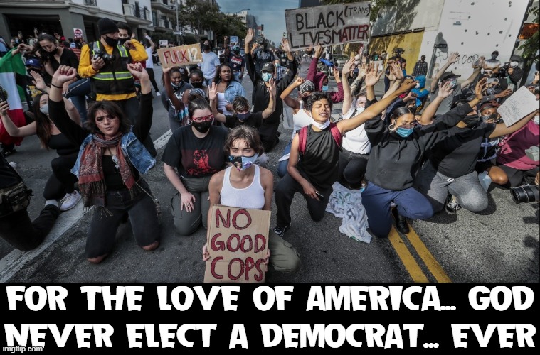 If You Want Your Country Back, Stop the Craziness | FOR THE LOVE OF AMERICA... GOD; NEVER ELECT A DEMOCRAT... EVER | image tagged in vince vance,never,vote,democrat,again,memes | made w/ Imgflip meme maker