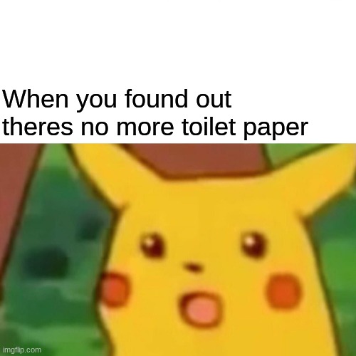Surprised Pikachu Meme | When you found out theres no more toilet paper | image tagged in memes,surprised pikachu,funny | made w/ Imgflip meme maker