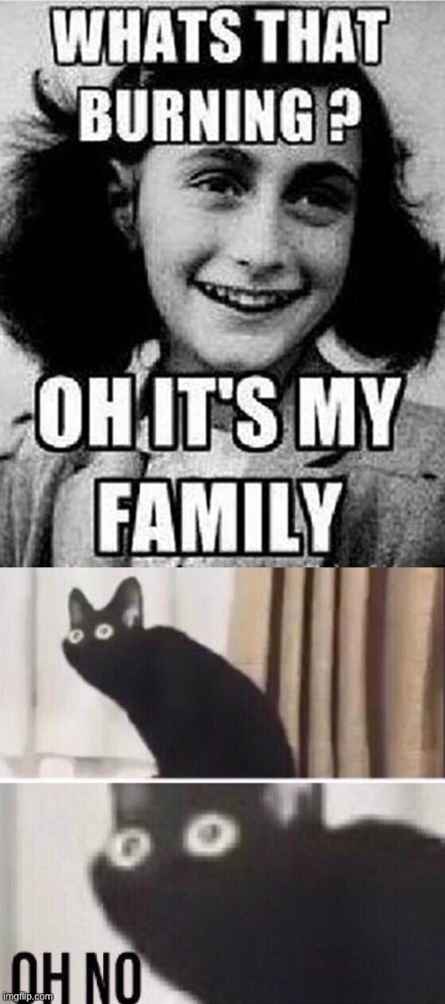 oof | image tagged in oh no cat,dark humor,family,holocaust,oof | made w/ Imgflip meme maker