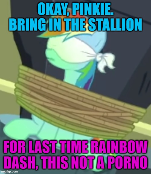 OKAY, PINKIE. BRING IN THE STALLION; FOR LAST TIME RAINBOW DASH, THIS NOT A PORNO | made w/ Imgflip meme maker