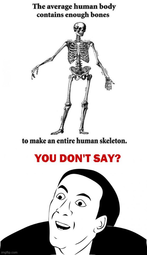 uhh… bodies are made up of bones and muscle- | image tagged in memes,you don't say,funny,pointless,science | made w/ Imgflip meme maker