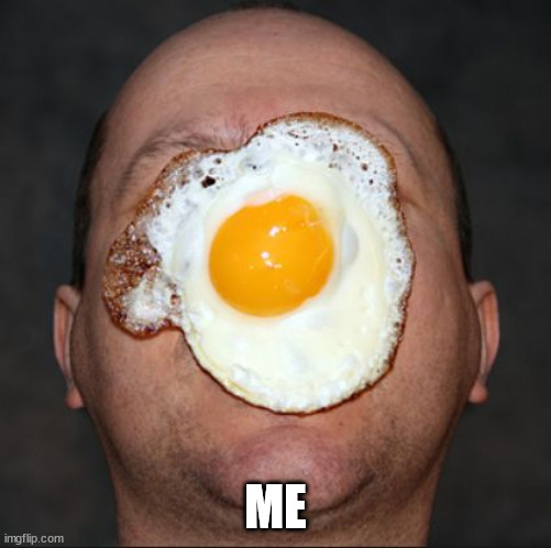 Egg on face | ME | image tagged in egg on face | made w/ Imgflip meme maker