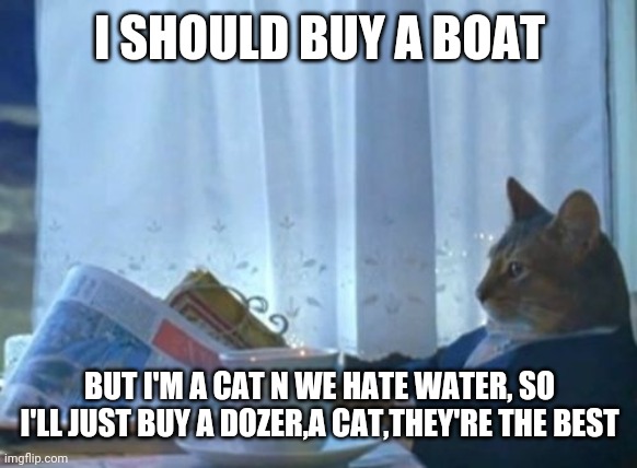 I Should Buy A Boat Cat | I SHOULD BUY A BOAT; BUT I'M A CAT N WE HATE WATER, SO I'LL JUST BUY A DOZER,A CAT,THEY'RE THE BEST | image tagged in memes,i should buy a boat cat | made w/ Imgflip meme maker