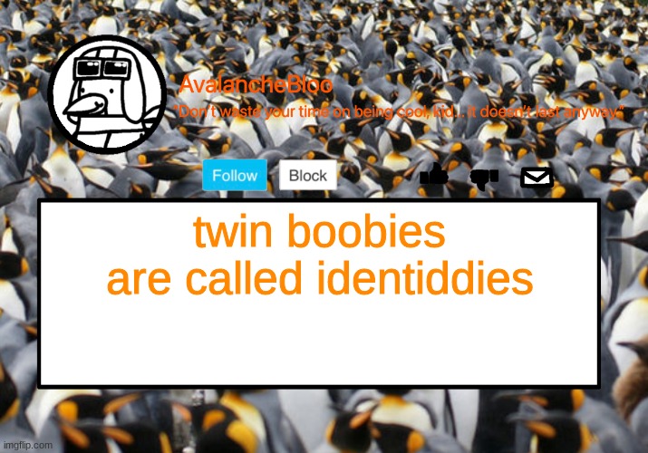 Avalanche Template | twin boobies are called identiddies | image tagged in avalanche template | made w/ Imgflip meme maker