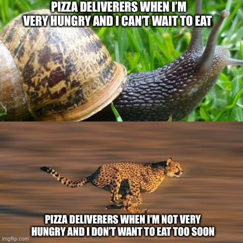 This Happens To Me Every Time | PIZZA DELIVERERS WHEN I’M VERY HUNGRY AND I CAN’T WAIT TO EAT; PIZZA DELIVERERS WHEN I’M NOT VERY HUNGRY AND I DON’T WANT TO EAT TOO SOON | image tagged in pizza,hungry,pizza delivery,speed,cheetah,snail | made w/ Imgflip meme maker