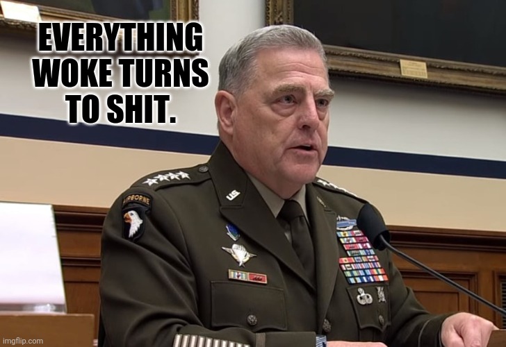 He was already shit. | EVERYTHING WOKE TURNS TO SHIT. | image tagged in memes | made w/ Imgflip meme maker