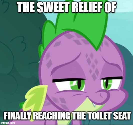 THE SWEET RELIEF OF; FINALLY REACHING THE TOILET SEAT | made w/ Imgflip meme maker