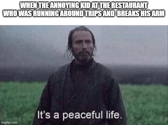 Finally, Inner Peace | WHEN THE ANNOYING KID AT THE RESTAURANT WHO WAS RUNNING AROUND TRIPS AND  BREAKS HIS ARM | image tagged in it s a peaceful life,kid,finally inner peace | made w/ Imgflip meme maker