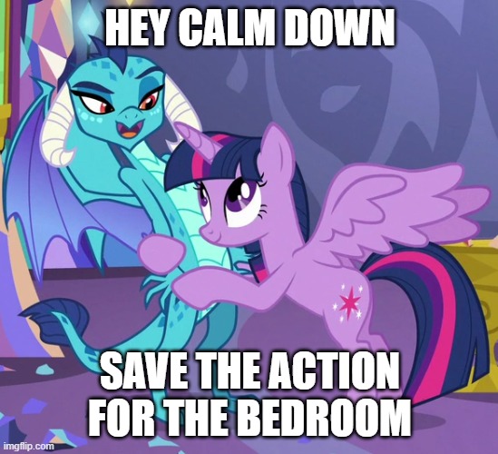 HEY CALM DOWN; SAVE THE ACTION FOR THE BEDROOM | made w/ Imgflip meme maker