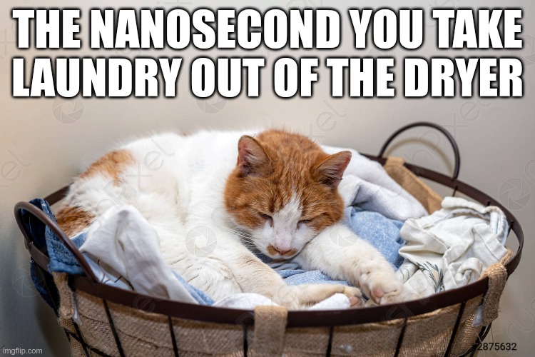 THE NANOSECOND YOU TAKE LAUNDRY OUT OF THE DRYER | made w/ Imgflip meme maker