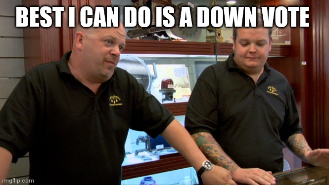 Pawn Stars Best I Can Do | BEST I CAN DO IS A DOWN VOTE | image tagged in pawn stars best i can do | made w/ Imgflip meme maker