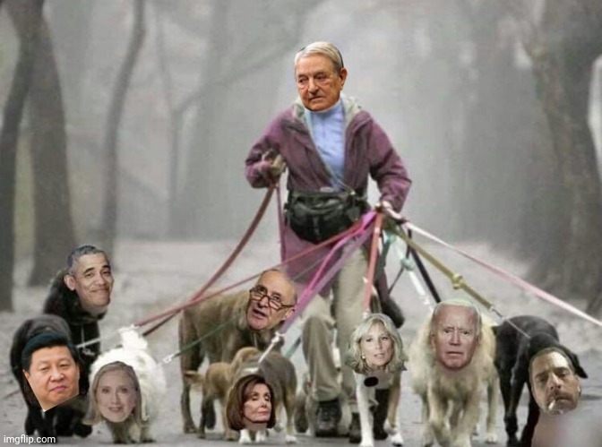 Soros walking his filthy dogs | image tagged in george soros | made w/ Imgflip meme maker