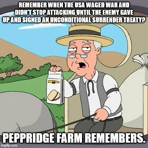 If the USA has to go to war then do it right! | REMEMBER WHEN THE USA WAGED WAR AND DIDN'T STOP ATTACKING UNTIL THE ENEMY GAVE UP AND SIGNED AN UNCONDITIONAL SURRENDER TREATY? PEPPRIDGE FARM REMEMBERS. | image tagged in memes,pepperidge farm remembers,war,afghanistan,politics,poltical meme | made w/ Imgflip meme maker