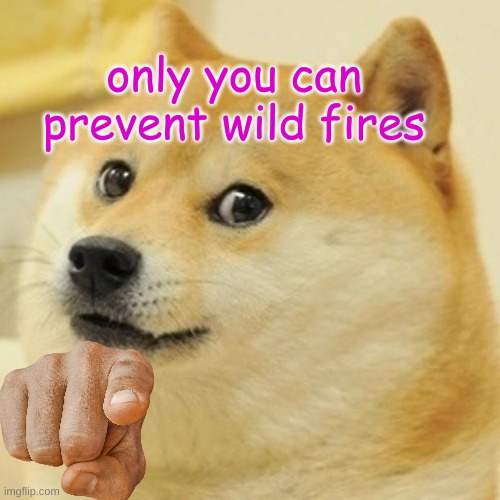 Doge Meme | only you can prevent wild fires | image tagged in memes,doge | made w/ Imgflip meme maker