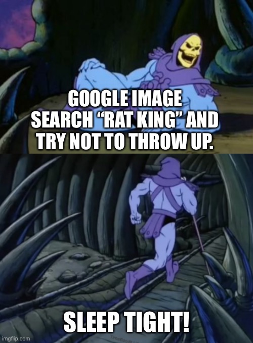 Disturbing Facts Skeletor | GOOGLE IMAGE SEARCH “RAT KING” AND TRY NOT TO THROW UP. SLEEP TIGHT! | image tagged in disturbing facts skeletor,dankmemes | made w/ Imgflip meme maker