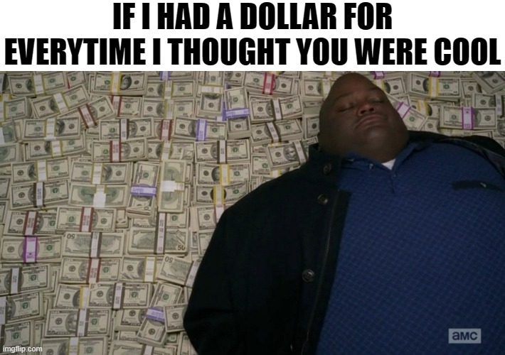 Breaking Bad money bed | IF I HAD A DOLLAR FOR EVERYTIME I THOUGHT YOU WERE COOL | image tagged in breaking bad money bed | made w/ Imgflip meme maker