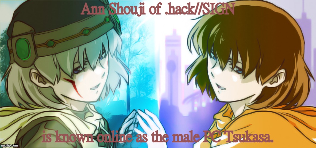 They become part of the game they are playing. | Ann Shouji of .hack//SIGN; is known online as the male PC Tsukasa. | image tagged in tsukasa/ann shouji,gender fluid,autism,tron | made w/ Imgflip meme maker