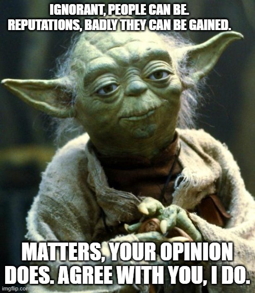 Star Wars Yoda Meme | IGNORANT, PEOPLE CAN BE. REPUTATIONS, BADLY THEY CAN BE GAINED. MATTERS, YOUR OPINION DOES. AGREE WITH YOU, I DO. | image tagged in memes,star wars yoda | made w/ Imgflip meme maker