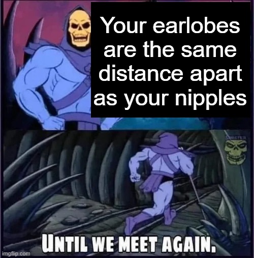 Until we meet again. |  Your earlobes are the same distance apart as your nipples | image tagged in until we meet again | made w/ Imgflip meme maker