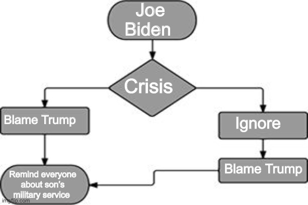 If in doubt, remind the citizens about family tragedies to pander for sympathy | Joe Biden; Crisis; Ignore; Blame Trump; Blame Trump; Remind everyone about son’s military service | image tagged in flow chart,funny memes,joe biden,politics lol | made w/ Imgflip meme maker