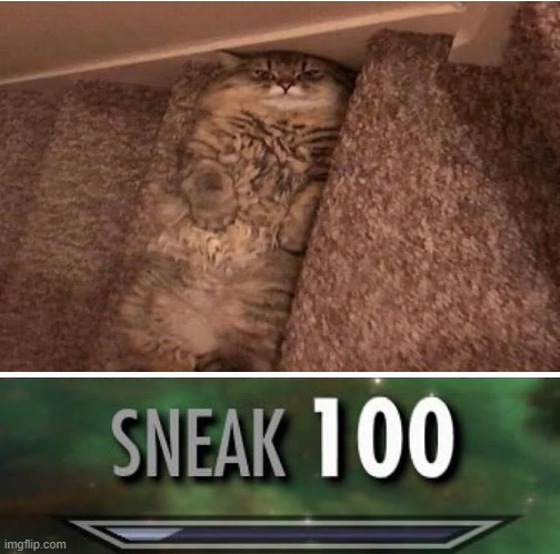 cat on stairs | image tagged in cat | made w/ Imgflip meme maker