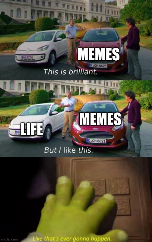 memes > life | MEMES; MEMES; LIFE | image tagged in this is brilliant but i like this,like that's ever gonna happen | made w/ Imgflip meme maker