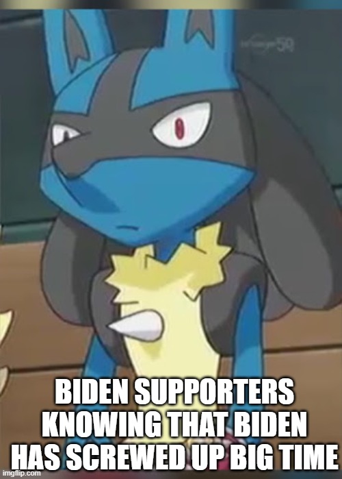 Oofies | BIDEN SUPPORTERS KNOWING THAT BIDEN HAS SCREWED UP BIG TIME | image tagged in lucario,memes | made w/ Imgflip meme maker