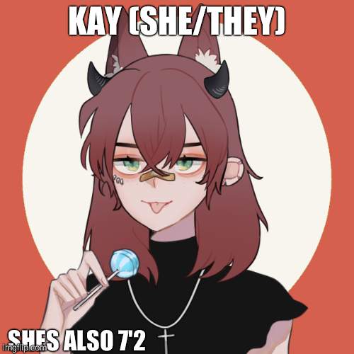 Kay jiro oc | KAY (SHE/THEY) SHES ALSO 7'2 | image tagged in kay jiro oc | made w/ Imgflip meme maker