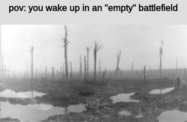 what will you do? | pov: you wake up in an "empty" battlefield | image tagged in roleplaying | made w/ Imgflip meme maker