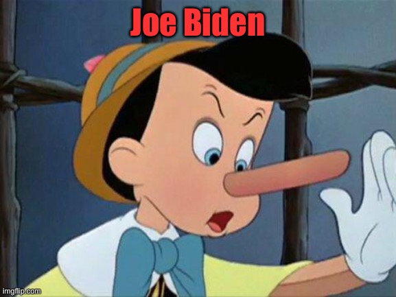 liar | Joe Biden | image tagged in liar | made w/ Imgflip meme maker