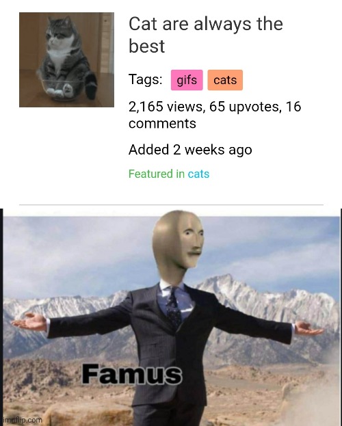 Well i m famus | image tagged in stonks famus,famus,oh wow are you actually reading these tags,stop reading the tags | made w/ Imgflip meme maker