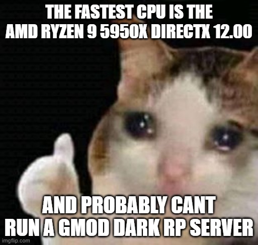dark rp has the most mods | THE FASTEST CPU IS THE AMD RYZEN 9 5950X DIRECTX 12.00; AND PROBABLY CANT RUN A GMOD DARK RP SERVER | image tagged in sad thumbs up cat | made w/ Imgflip meme maker