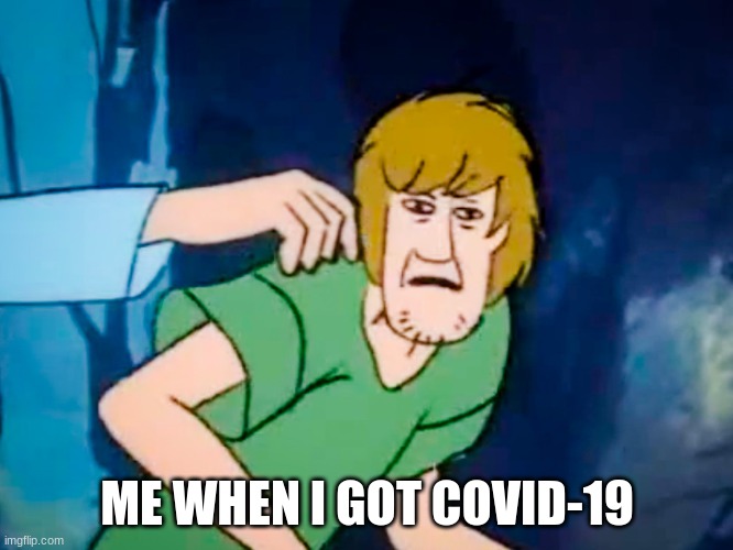 covid-19 | ME WHEN I GOT COVID-19 | image tagged in shaggy meme | made w/ Imgflip meme maker