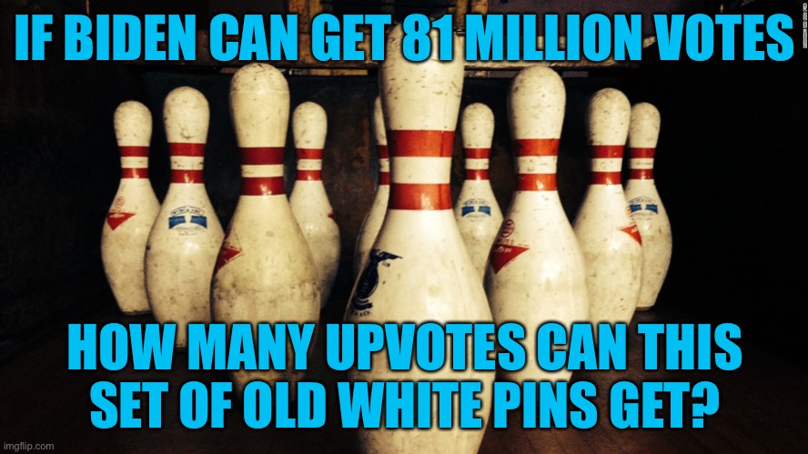 if this gets 40 upvotes i’ll post it in politicsTOO | IF BIDEN CAN GET 81 MILLION VOTES; HOW MANY UPVOTES CAN THIS SET OF OLD WHITE PINS GET? | image tagged in funny | made w/ Imgflip meme maker