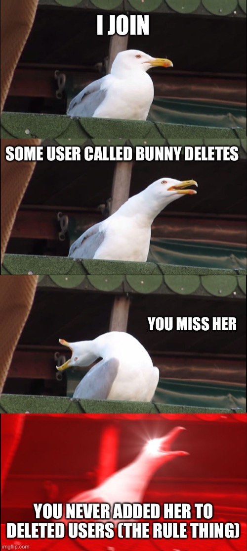 :/ | I JOIN; SOME USER CALLED BUNNY DELETES; YOU MISS HER; YOU NEVER ADDED HER TO DELETED USERS (THE RULE THING) | image tagged in memes,inhaling seagull | made w/ Imgflip meme maker