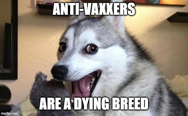 Anti-vaxxers |  ANTI-VAXXERS; ARE A DYING BREED | image tagged in pun dog - husky,covid-19,dark humor | made w/ Imgflip meme maker
