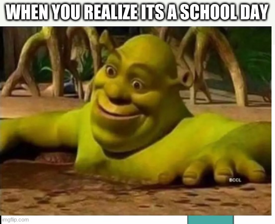 WHEN YOU REALIZE ITS A SCHOOL DAY | image tagged in memegamer3 this is a kid friendly channel | made w/ Imgflip meme maker