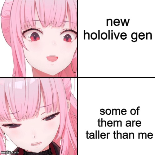 Calliope Mori |  new hololive gen; some of them are taller than me | image tagged in calliope mori | made w/ Imgflip meme maker