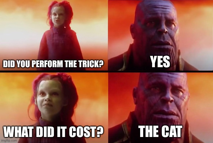 thanos what did it cost | DID YOU PERFORM THE TRICK? YES WHAT DID IT COST? THE CAT | image tagged in thanos what did it cost | made w/ Imgflip meme maker