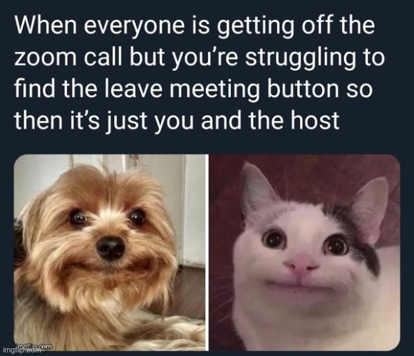 Zoom be like: | image tagged in zoom,funny memes | made w/ Imgflip meme maker