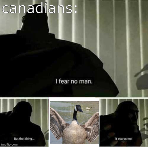 rattlesnake with wings :,v |  canadians: | image tagged in i fear no man | made w/ Imgflip meme maker